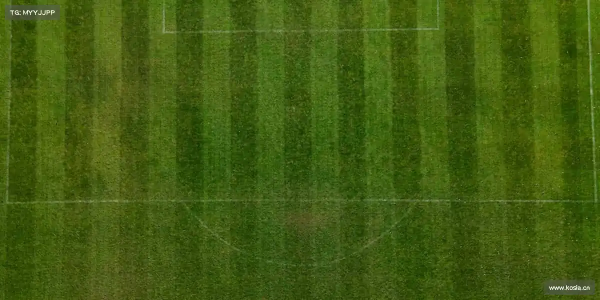 南宫NG28🌟从迈出第一步到站上巅峰,体育陪你成就每一个梦想!